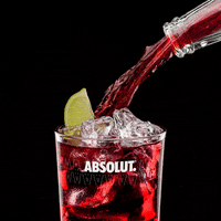 cranberry juice drinks GIF by Absolut Vodka