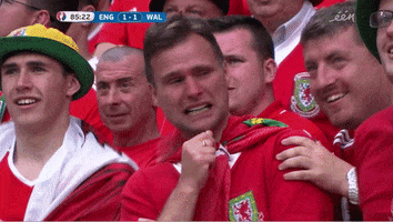 Euro 2016 Crying GIF by Sporza