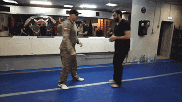 izvor-volk systema knife fighting dog catcher GIF