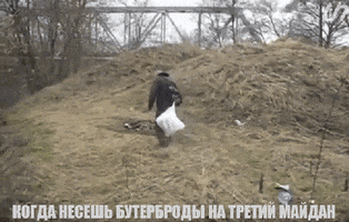 un  GIF