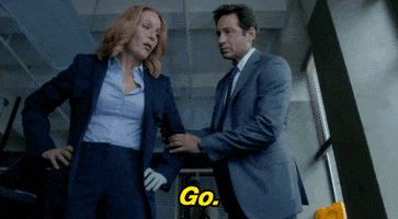 TV gif. From the X Files, Gillian Anderson as Scully stands with her hands on her hips and David Duchovny as Scully touches her elbow, saying, "go."