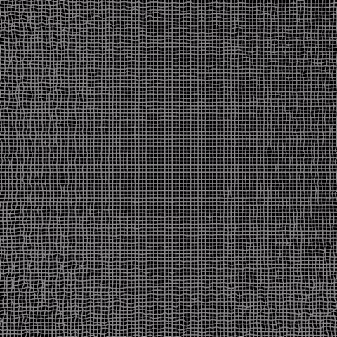 3d grid GIF by Nico Roxe