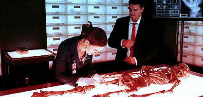 David Boreanaz Forensics GIF by Bones