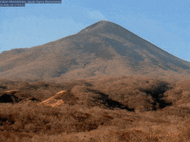 darwinestrada  GIF