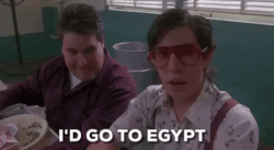 Would you like to live in another country