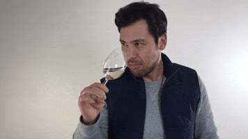 Wine Tasting Eyebrows GIF by nakedwines.com