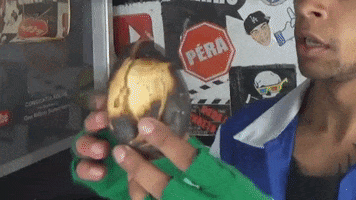 Zoio GIF by Éverson Zóio