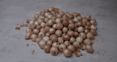 merge records onions GIF by Ought