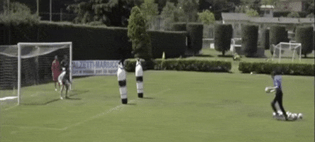 goalkeeper torwart goleiro portiere goalkeepers GIF