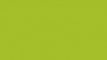 jeancampos-3755 trident 3dscan lollapalooza romeuejulieta GIF