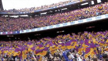 Camp Nou Football GIF by FC Barcelona
