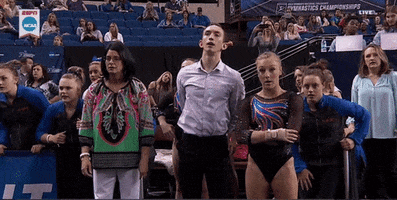 200.gif?cid=fc005b08e4166d34215861f9716b65f33f0490a2edf14290&rid=200.gif&ct=g
