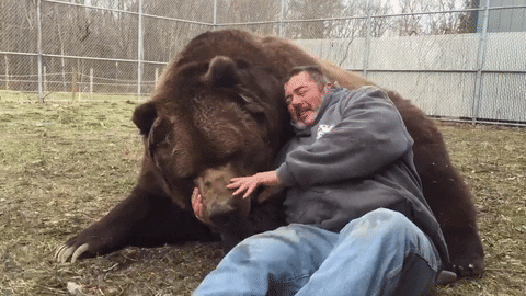 Bear Animal Friendship GIF - Find & Share on GIPHY