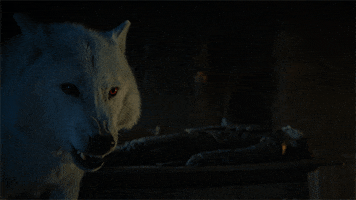 200.gif?cid=fc005b08ae5235599228a57a5f111dcdad28729ab2a76033&rid=200.gif&ct=g