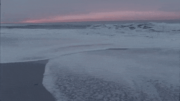 Music Video Beach GIF by Lewis Del Mar