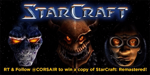 starcraft win gif