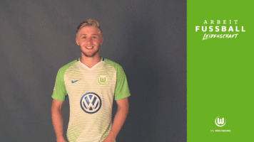 celebration bundesliga GIF by VfL Wolfsburg