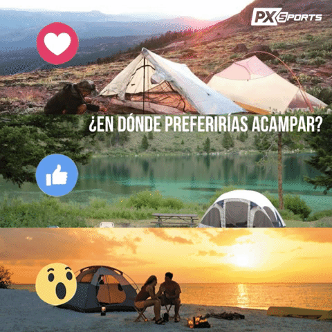 pxsports #travel #beach #sports #trip GIF