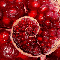 red-sweet-fruit-3o6vY6Ksw2gBEKJ70I