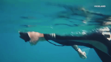 200.gif?cid=fc005b08706dbaccdc7c90ec2b3d3e7380add52b64e9c6e0&rid=200.gif&ct=g
