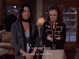 200.gif?cid=fc005b08055e6ceda8507327c42dfa4a2b6790358ff98de9&rid=200.gif&ct=g