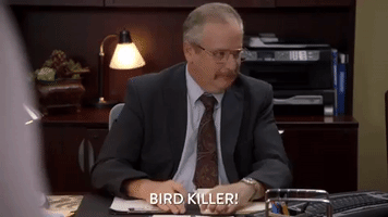 200.gif?cid=fc005b089dd0d5a24086ae7a0b00fbbbc6725e7edb243052&rid=200.gif&ct=g