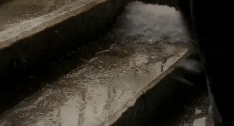 giphy.gif?cid=6c09b952p8expd1c8cqe626cba