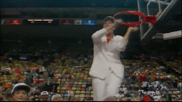 200.gif?cid=fc005b084912e6189398fa56f92ba33f52b156e51d8d0fbf&rid=200.gif&ct=g
