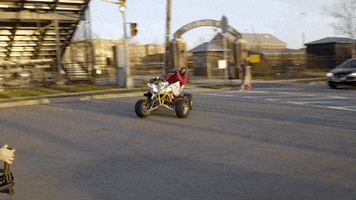 200.gif?cid=fc005b08eb09e23c50852def1a96a0a3f3fdc7763ff2360d&rid=200.gif&ct=g