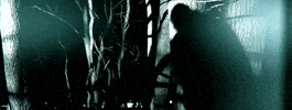 Nuclear Blast Recordings GIF by Despised Icon