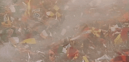 soccer scudetto GIF by AS Roma