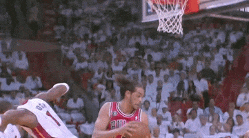 rejected lebron james GIF