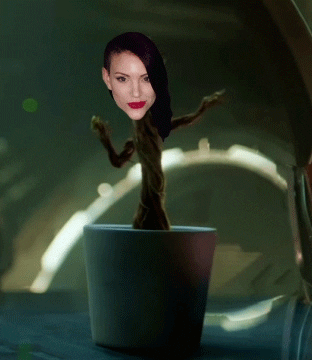 kevinziggyzeigler  GIF