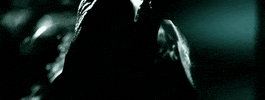 Nuclear Blast Recordings GIF by Despised Icon