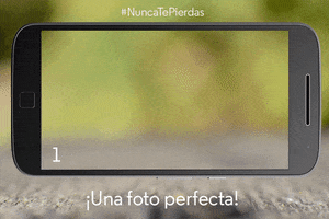 WSGifs #nuncatepierdas GIF