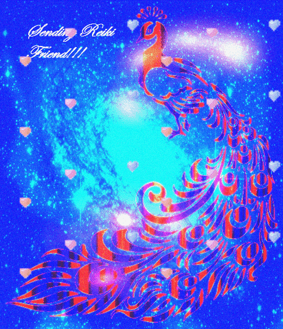 kevinschobertkio  GIF