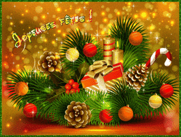 newsouest noel GIF