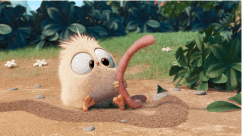 Nějáký pěkný gif