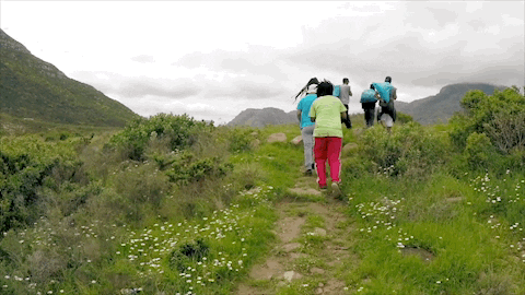 Hiking GIF by Black Market - Find & Share on GIPHY