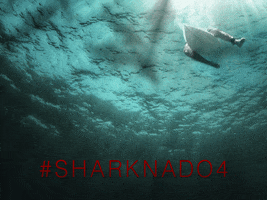 ian ziering sharks GIF by SYFY
