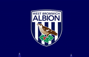 wba baggies GIF by West Bromwich Albion