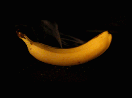 Banana GIF