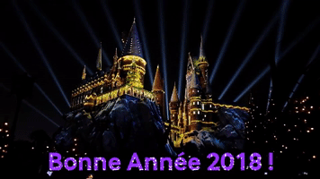 Harry Potter Firework GIF