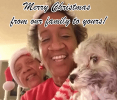 merry christmas family GIF
