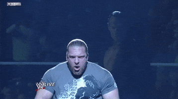 triple h wrestling GIF by WWE