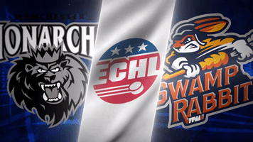 monarchs GIF by Greenville Swamp Rabbits