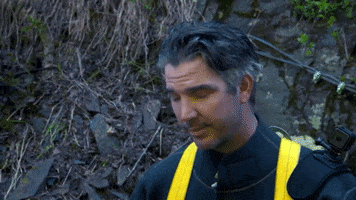 gold rush no GIF by Discovery Europe