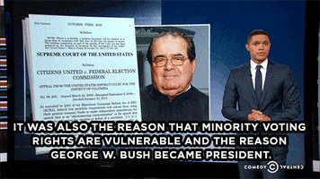 the daily show bush GIF by The Daily Show with Trevor Noah