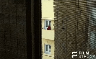 chantal akerman window GIF by FilmStruck