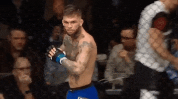 Lets Go Mma GIF by UFC